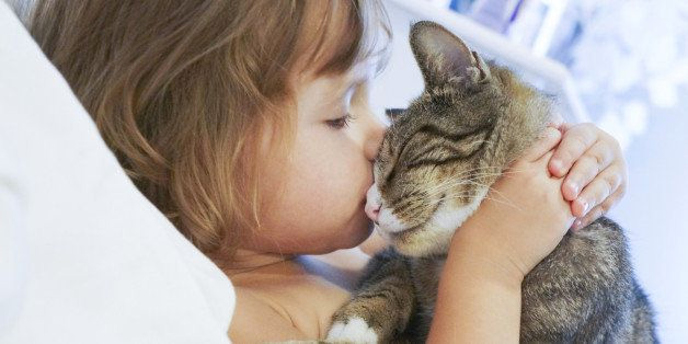 child kissing kitten