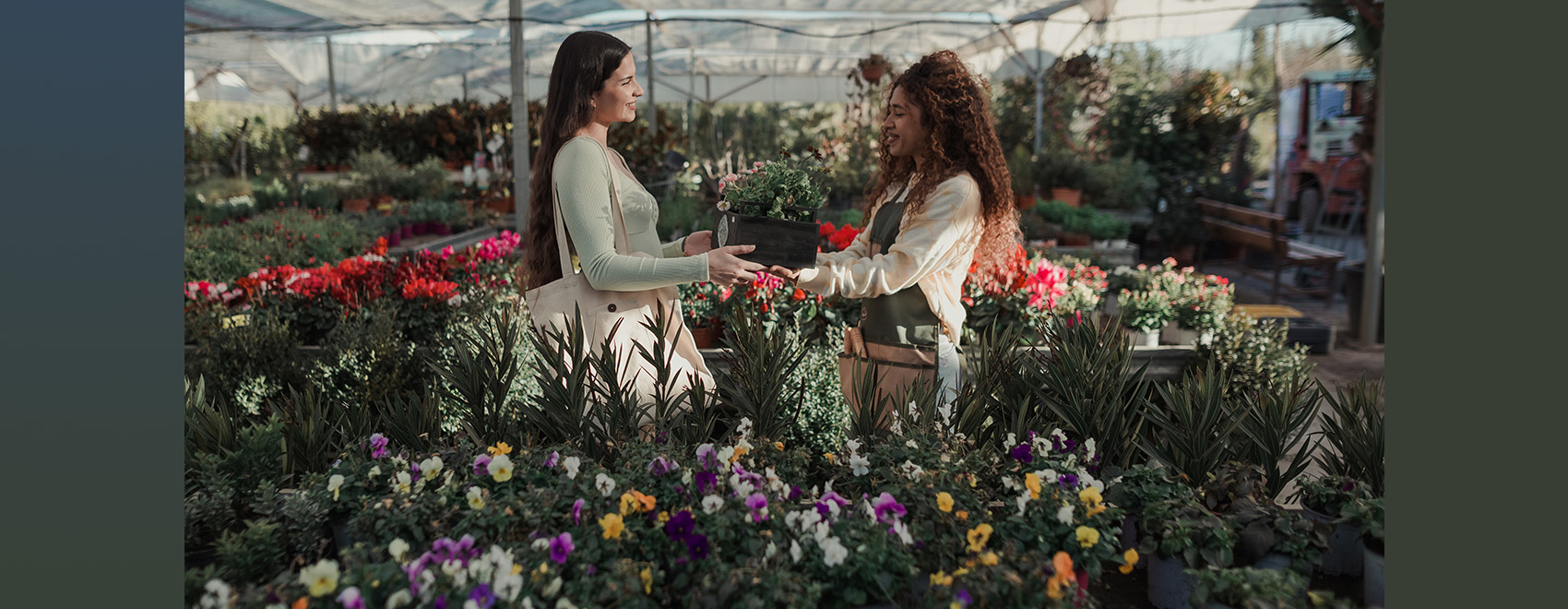 Staff attending a woman buying flowers in a greenhouse