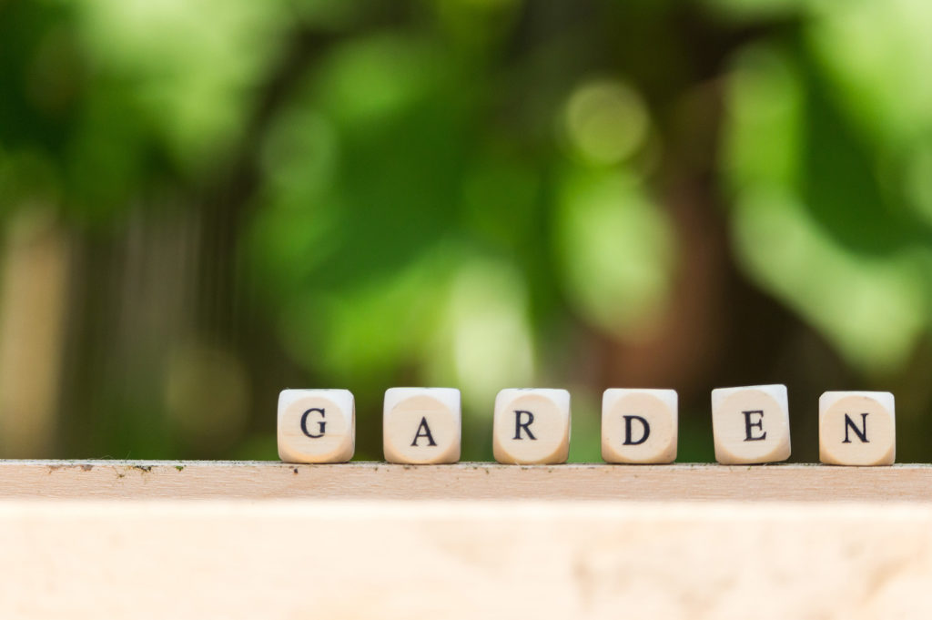 the word garden, put together from single wooden letters in front of a wine plant in the background of the garden at summer time. gardening season has begun