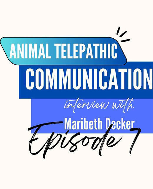 how animals can communicate with humans and other species