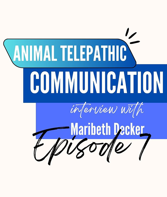 how animals can communicate with humans and other species