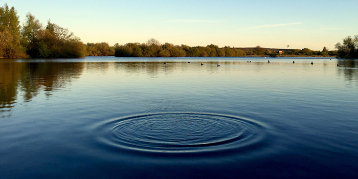 pond outside omega institute